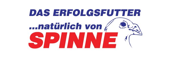 Spinne