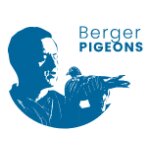 BergerPigeons