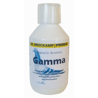 Brockamp Gamma
