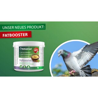 Röhnfried Fatbooster