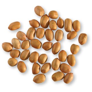 Erdnüsse 1. Wahl 2,5kg