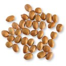 Erdnüsse 1. Wahl 2,5kg